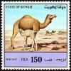 Colnect-5596-337-Dromedary-Camelus-dromedarius.jpg