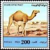 Colnect-5596-350-Dromedary-Camelus-dromedarius.jpg