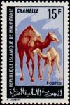 Colnect-989-406-Dromedary-Camelus-dromedarius.jpg