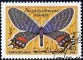 Colnect-1927-133-Bhutan-Glory-Bhutanitis-lidderdalei.jpg