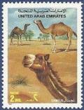 Colnect-2133-813-Dromedary-Camelus-dromedarius.jpg