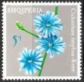 Colnect-2742-107-Chicory-Cichorium-intybus.jpg