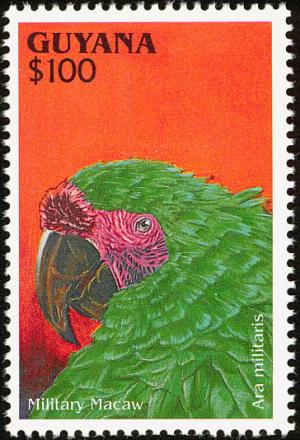 Colnect-1664-177-Military-Macaw-Ara-militaris.jpg