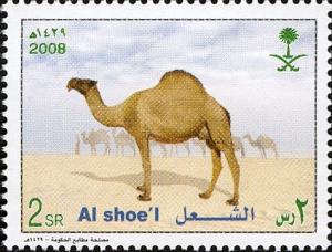 Colnect-1676-708-Dromedary-Camelus-dromedarius.jpg