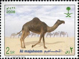 Colnect-1676-712-Dromedary-Camelus-dromedarius.jpg