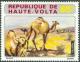 Colnect-2097-492-Dromedary-Camelus-dromedarius.jpg