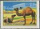 Colnect-2561-215-Dromedary-Camelus-dromedarius.jpg