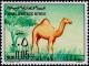 Colnect-3805-382-Dromedary-Camelus-dromedarius.jpg