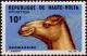 Colnect-508-197-Dromedary-Camelus-dromedarius.jpg