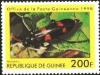 Colnect-1012-091-Blister-Beetle-Mylabris-sp-.jpg