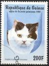 Colnect-1097-960-English-Shorthair-Bicolor-Felis-silvestris-catus.jpg