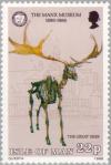 Colnect-124-600-Skeleton-of-Great-Deer---Irish-Elk-Megalocerus-giganteus.jpg