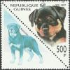 Colnect-1261-712-Rottweiler-Canis-lupus-familiaris.jpg