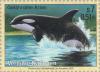 Colnect-139-181-Killer-Whale-Orcinus-orca.jpg