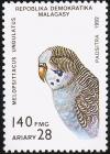 Colnect-1458-221-Budgerigar-Melopsittacus-undulatus.jpg