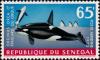 Colnect-1995-918-Killer-Whale-Orcinus-orca.jpg