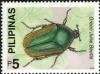 Colnect-2325-305-Figeater-Beetle-Cotinis-nitida.jpg