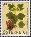 Colnect-2393-118-Guelder-Rose-Viburnum-Opulus.jpg