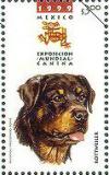 Colnect-312-982-Rottweiler-Canis-lupus-familiaris.jpg