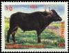 Colnect-3221-020-Domesticated-Water-Buffalo-Bos-bubalus-domesticus.jpg