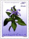 Colnect-3455-033-Bellflower-Campanula-comosiformis.jpg