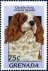 Colnect-4581-341-Cavalier-King-Charles-spaniel.jpg