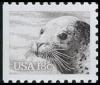 Colnect-5099-526-Harbour-Seal-Phoca-vitulina.jpg