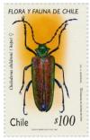 Colnect-566-753-Wood-Borer-Cheloderus-childreni-.jpg