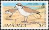 Colnect-579-819-Snowy-Plover-Charadrius-alexandrinus.jpg