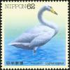 Colnect-608-832-Whooper-Swan-Cygnus-cygnus.jpg