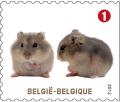 Colnect-1047-685-Hamster-subfamily-Cricetinae.jpg