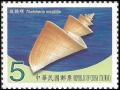 Colnect-3551-588-Japanese-Wonder-Shell-Thatcheria-mirabilis-.jpg