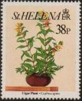 Colnect-4718-406-Cigar-plant-Cuphea-ignea.jpg