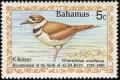 Colnect-862-676-Killdeer-Charadrius-vociferus.jpg