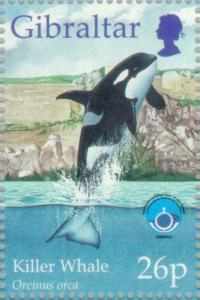 Colnect-120-903-Killer-Whale-Orcinus-orca.jpg