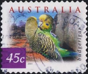 Colnect-1052-613-Budgerigar-Melopsittacus-undulatus.jpg