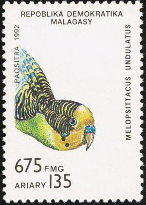 Colnect-1458-023-Budgerigar-Melopsittacus-undulatus.jpg