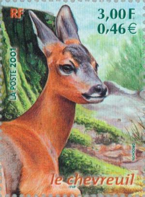 Colnect-146-840-Roe-Deer-Capreolus-capreolus.jpg