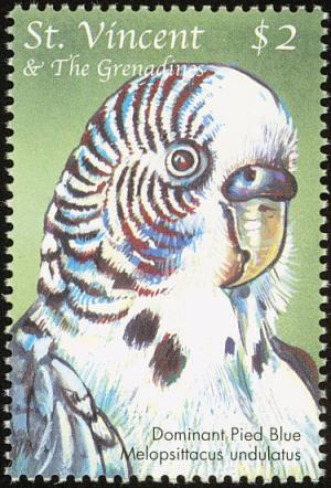 Colnect-1748-217-Budgerigar-Melopsittacus-undulatus.jpg