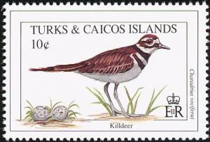 Colnect-1764-372-Killdeer-Charadrius-vociferus.jpg