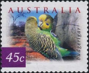 Colnect-2014-374-Budgerigar-Melopsittacus-undulatus.jpg