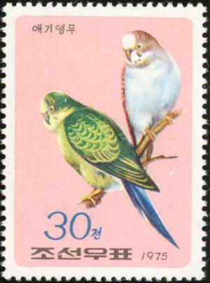 Colnect-2249-536-Budgerigar-Melopsittacus-undulatus.jpg