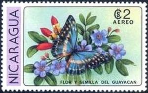 Colnect-3188-450-Guayacan-Flower-Tabebuia-guayacan-Butterfly.jpg