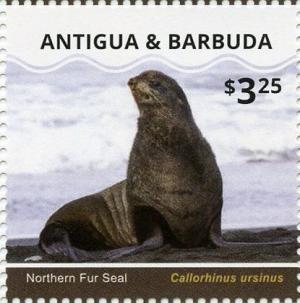 Colnect-3530-487-Northern-Fur-Seal-Callorhinus-ursinus.jpg