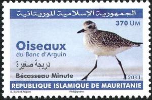 Colnect-3570-121-Grey-Plover%C2%A0-%C2%A0Pluvialis-squatarola.jpg