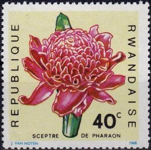 Colnect-3798-520-Flower-Sceptre-de-pharaon.jpg