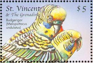 Colnect-3802-969-Budgerigar-Melopsittacus-undulatus.jpg