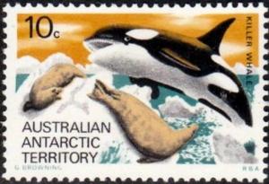 Colnect-3873-172-Killer-Whale-Orcinus-orca.jpg