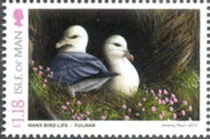 Colnect-4278-125-Fulmar-Fulmarus-glacialis.jpg