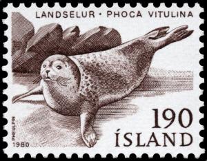 Colnect-4551-975-Harbor-Seal-Phoca-vitulina.jpg